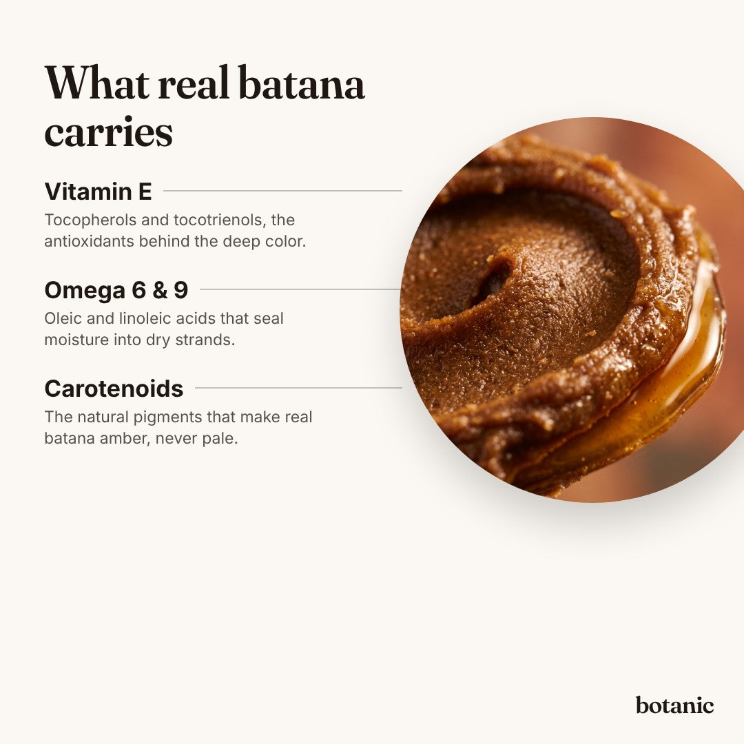 Botanic batana – Ingredients explained